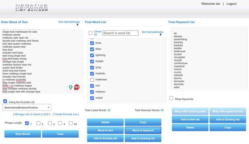 Google Ads Negative Keyword List Builder Step 3