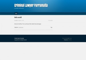 Criminal Lawyer Parramatta